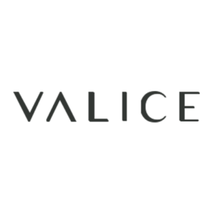 Valice Logo