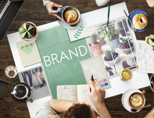 What You Need to Make Your Brand Environmentally Sustainable