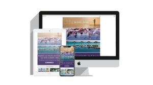 MGR Consulting Group – SPG Email Campaign